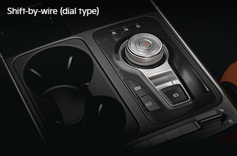 carnival-limousine Features