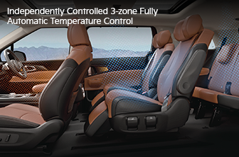 carnival-limousine Features