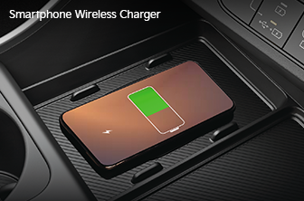 carnival-limousine Features