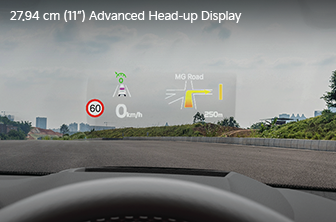 carnival-limousine Features