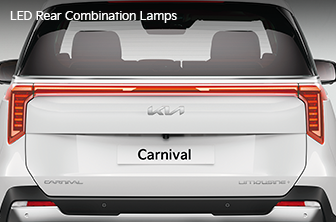 carnival-limousine Features