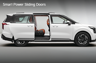 carnival-limousine Features