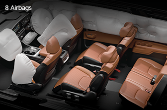 carnival-limousine Features