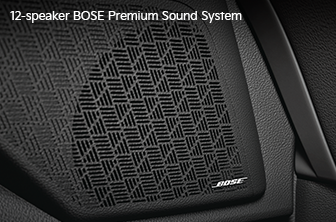 carnival-limousine Features