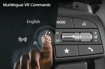 carens-clavis Features