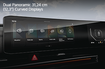 carnival-limousine Features