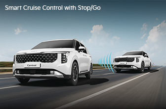 carnival-limousine Features