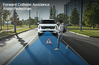 carnival-limousine Features