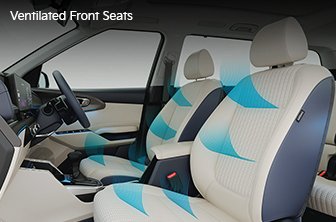 carens-clavis Features