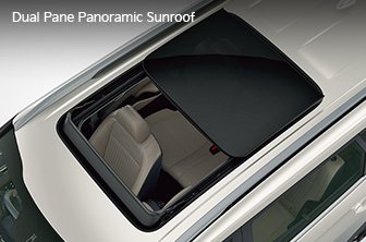 carens-clavis Features