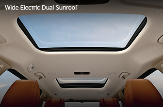 carnival-limousine Features