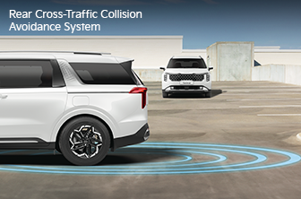 carnival-limousine Features