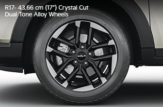 carens-clavis Features