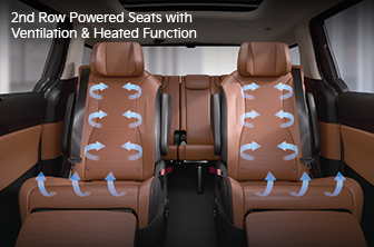 carnival-limousine Features