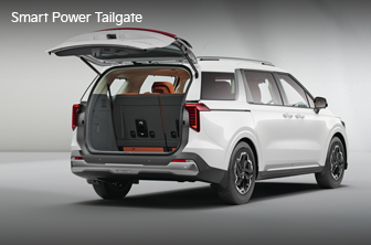 carnival-limousine Features