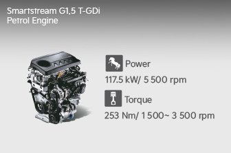 carens-clavis Features