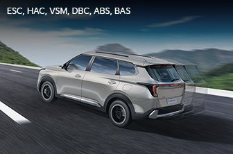 carens-clavis Features